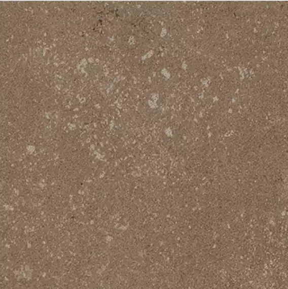 Buxy Noisette 50x50