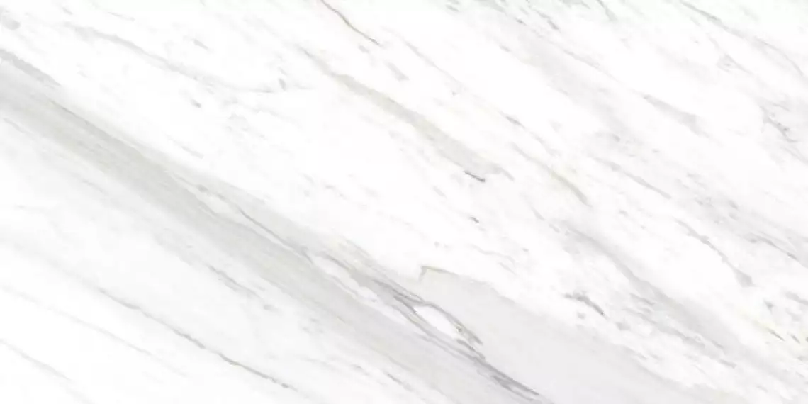 Calcatta Belgia 60x120