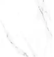 Carrara Glossy 60*60