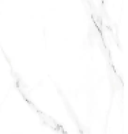 Carrara Glossy 60*60