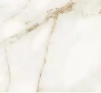 Carrara White Glossy 60*60