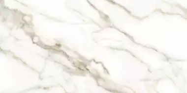 Carrara white 60x120