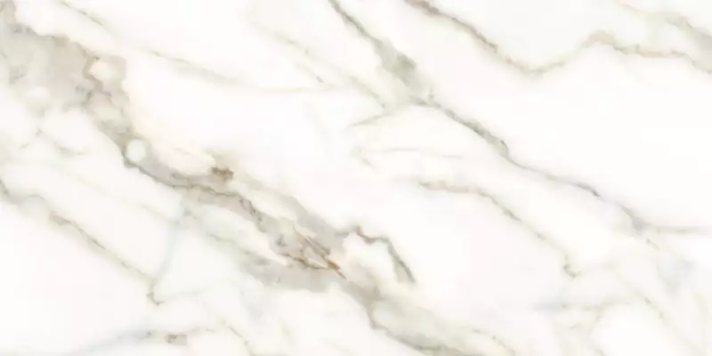 Carrara white 60x120