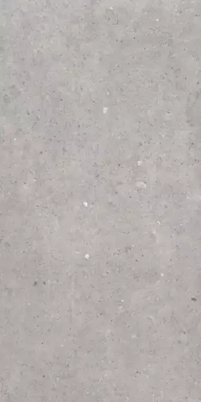 Cement Stone Grey RC 60x120