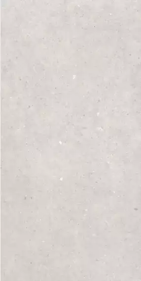 Cement Stone White RC 60x120