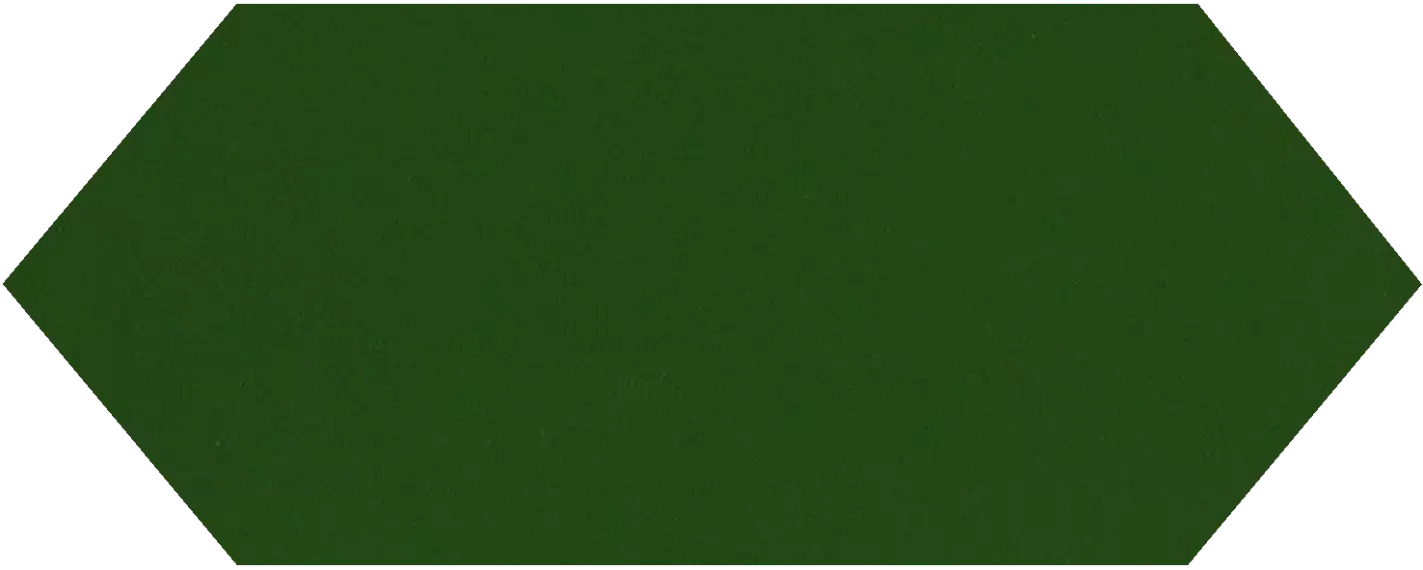 Cupidon Dark Green Brillo Liso 10х30