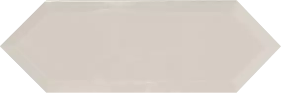 Cupidon Light Grey Brillo Bisel 10х30