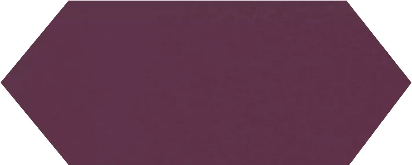 Cupidon Plum Brillo Liso 10х30