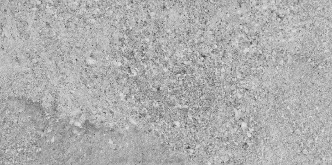 DAGSE667 grey 30x60