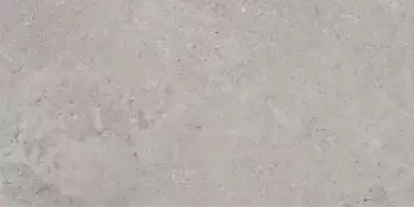 Erding Ash Decorstone 60x120
