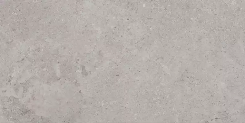 Erding Ash Decorstone 60x120