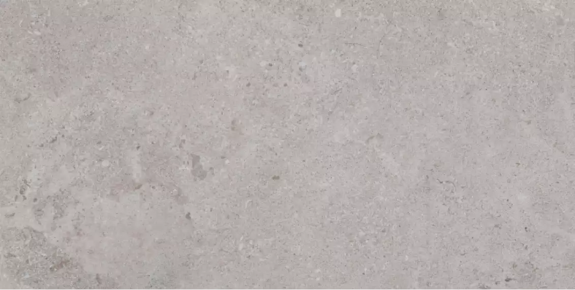 Erding Ash Decorstone 60x120