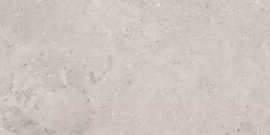 Erding Silver Decorstone 60x120