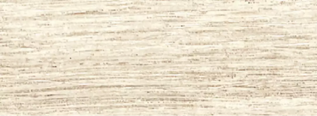 FOREST ACERO 300x100