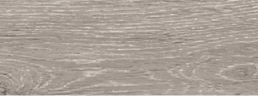 FOREST CEMBRO 300x100