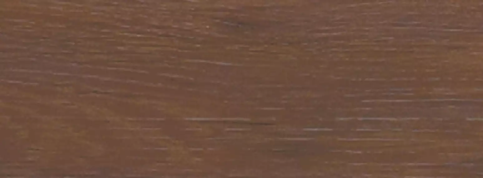 FOREST NOCE 300x100
