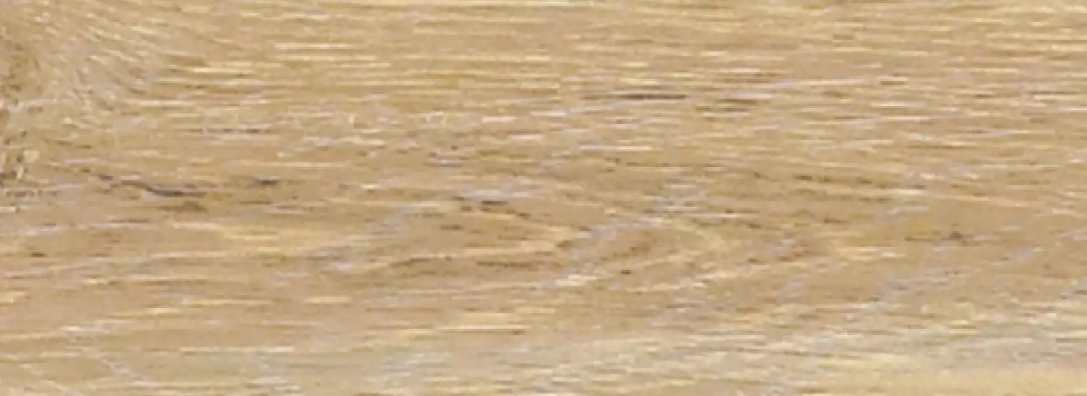 FOREST ROVERE 300x100