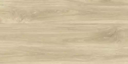 GRS11-17S Ajanta Ash 120x60