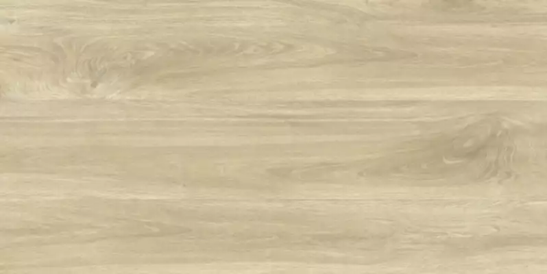 GRS11-17S Ajanta Ash 120x60
