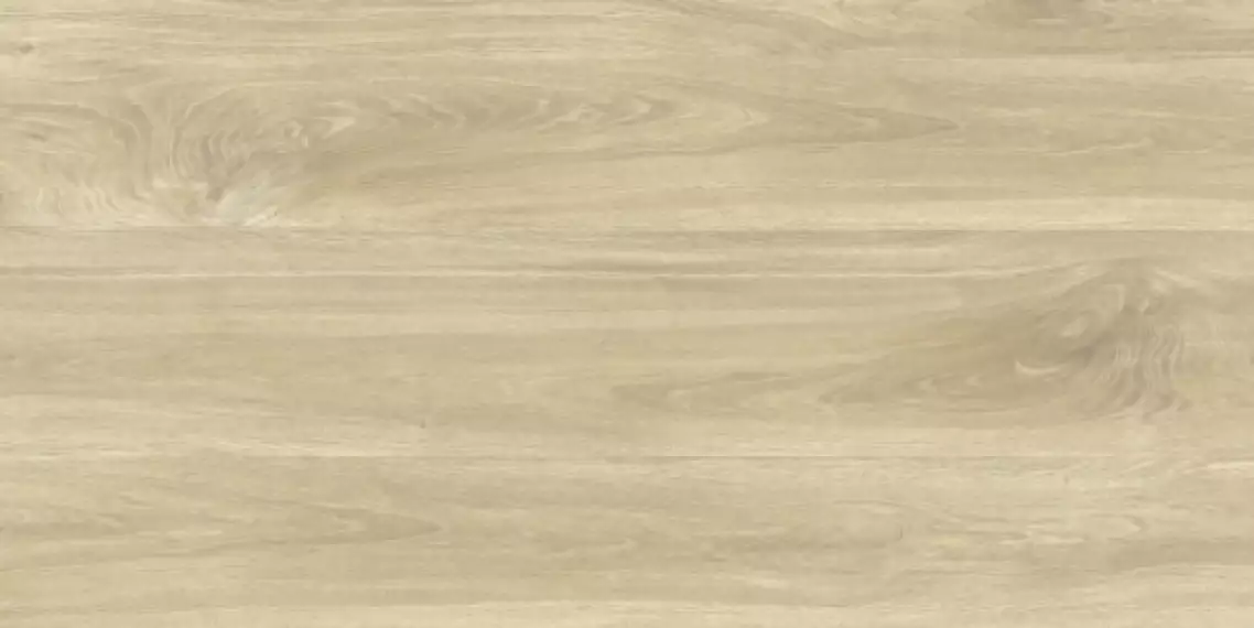 GRS11-17S Ajanta Ash 120x60