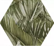 Hex.Vegetal Trend 25.8x29