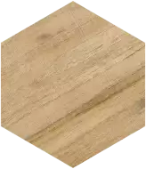 Hexagono Gamma Miel 23x26.6
