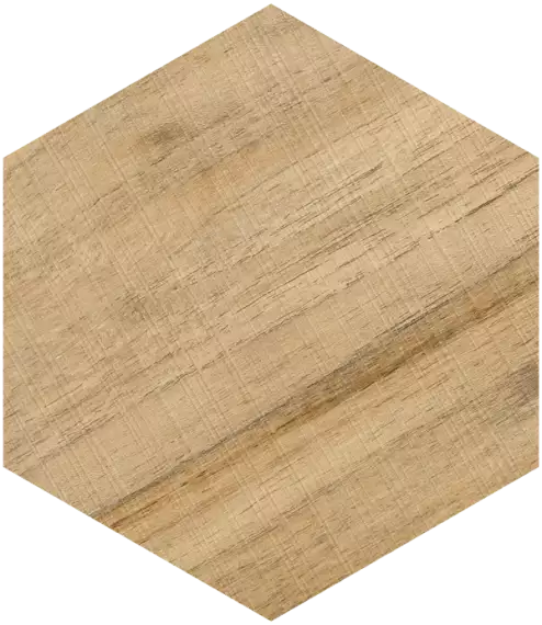 Hexagono Gamma Miel 23x26.6