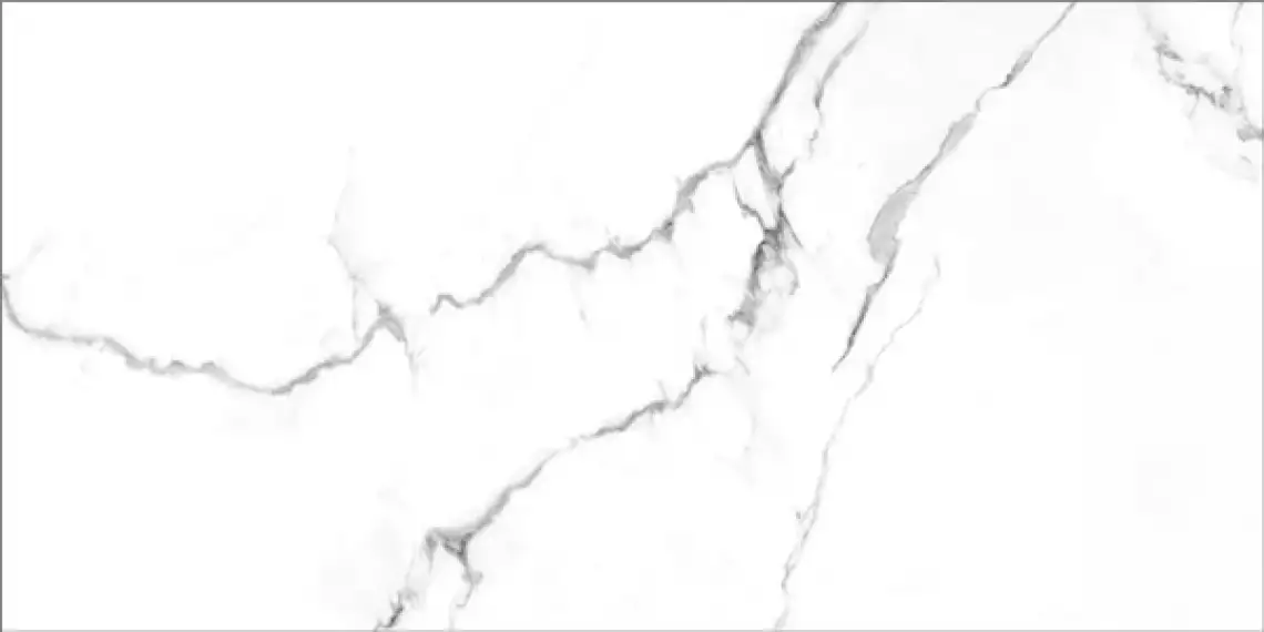 ICEBERG NPLUS 60x120