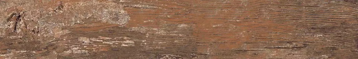 Kiwi Redroot Mat 20x120