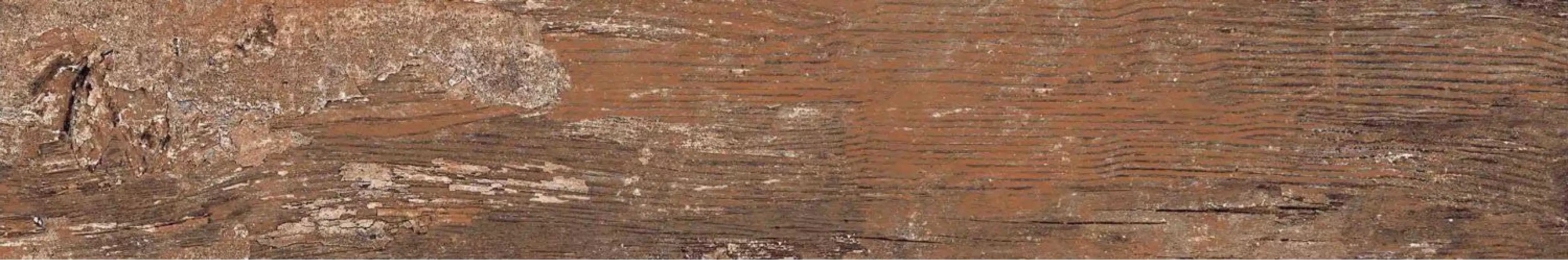 Kiwi Redroot Mat 20x120