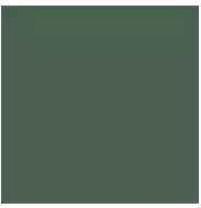 L4418-1Ch Green - Loose 10х10