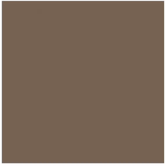 L4429-1Ch Coffee Brown - Loose 10х10