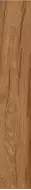 LOIRE UMBER 20x120