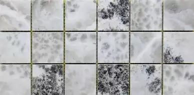 MK.BLA DA LP The Room 6.5mm 15x30