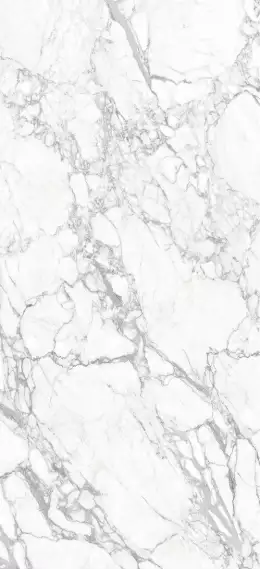 MN019AP271206 Керамогранит Statuario White Polished 6mm 120x270