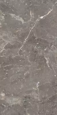 MPL-057488 Керамогранит Breccia Oniciata 80х160