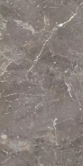 MPL-057488 Керамогранит Breccia Oniciata 80х160