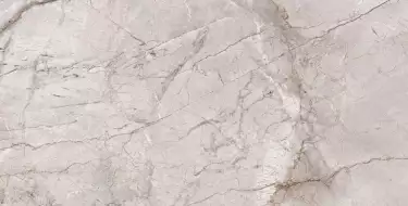 Marble Dragon Grey Silk 60x120