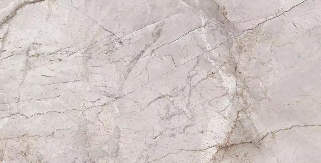 Marble Dragon Grey Silk 60x120