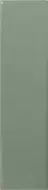 Match Sage Gloss 6.25х25
