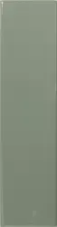 Match Sage Gloss 6.25х25