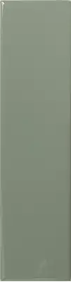Match Sage Gloss 6.25х25