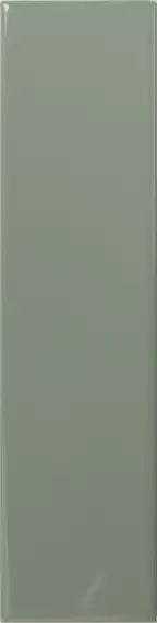 Match Sage Gloss 6.25х25