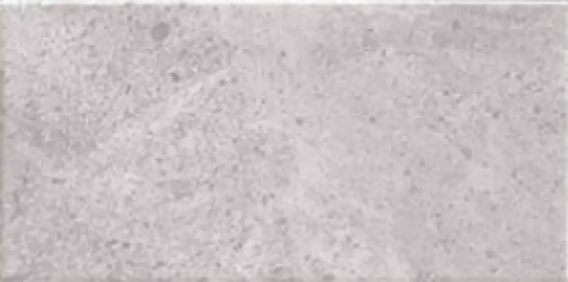 Menfis Grey 10x20