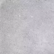 NR121 Керамогранит Nemo Light Grey 60x60