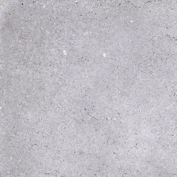 NR121 Керамогранит Nemo Light Grey 60x60