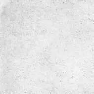 NR122 Керамогранит Nemo White 60x60