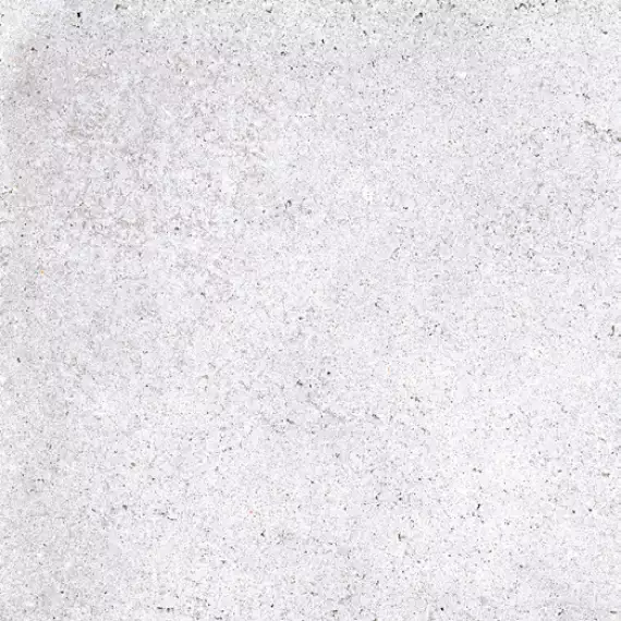 NR122 Керамогранит Nemo White 60x60