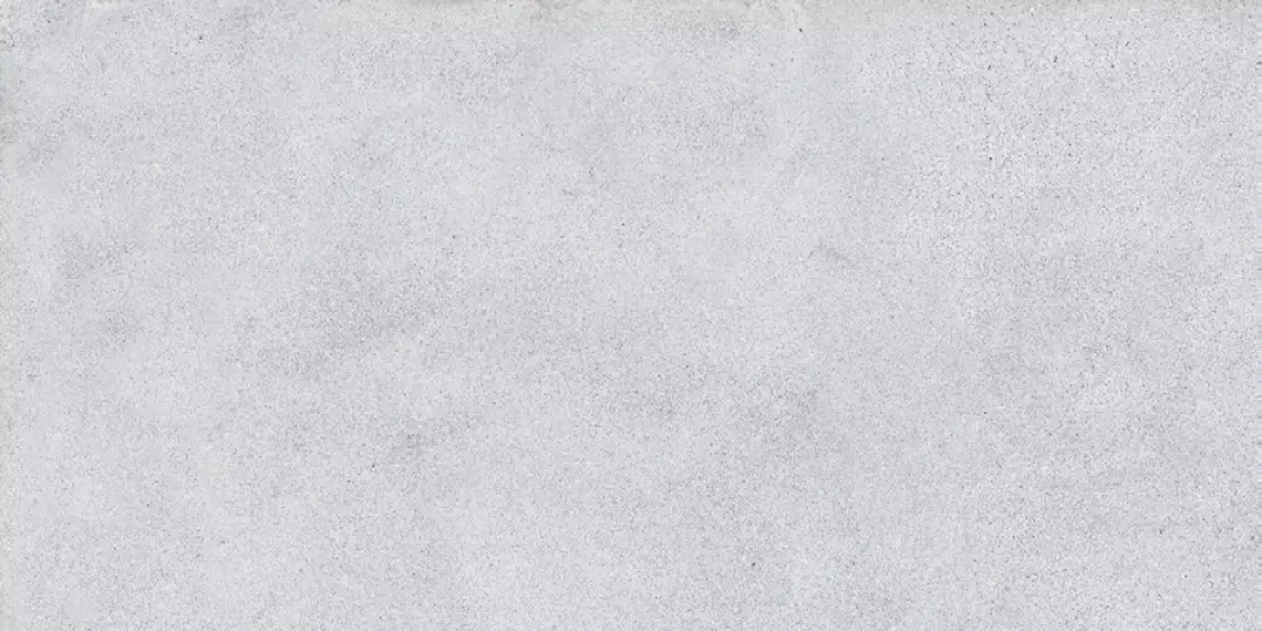 NR207 Керамогранит Maderas Light Grey 60x120