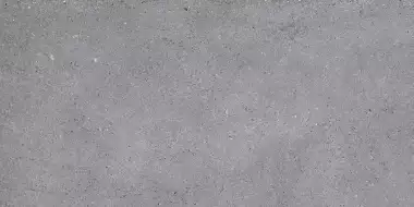 NR210 Керамогранит Nemo Grey 60x120